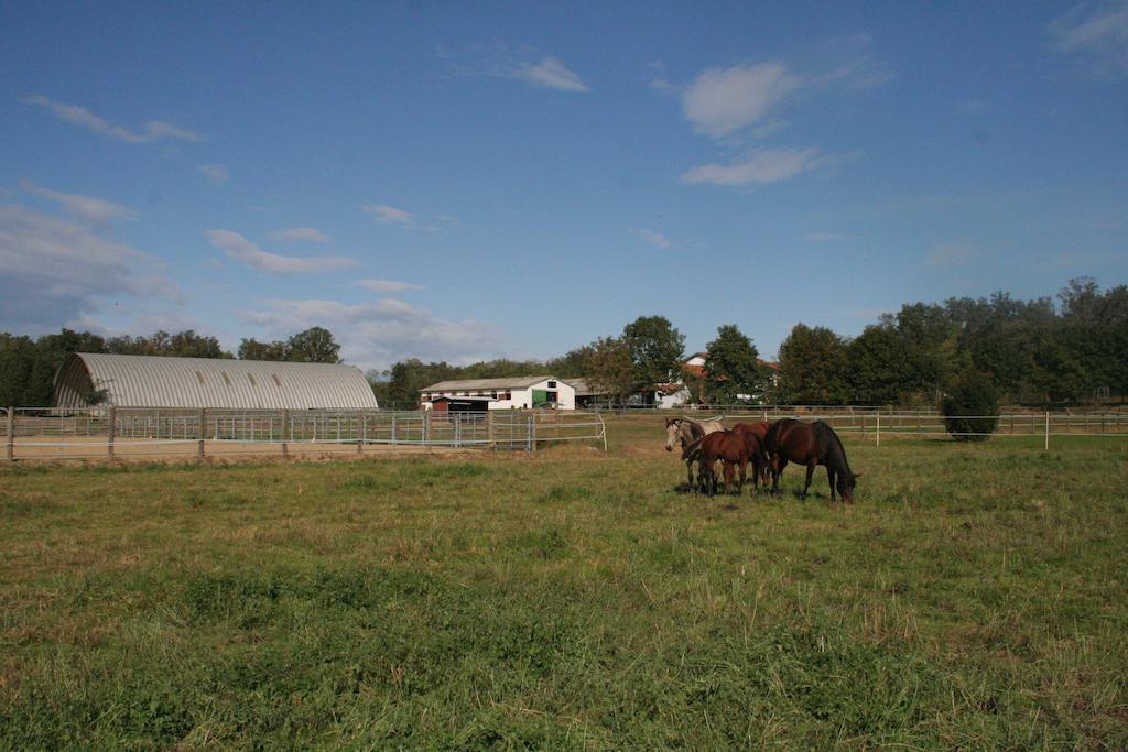 Agriturismo Fano'S Farm Pensionat Suno Eksteriør billede